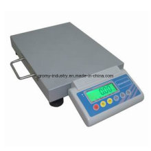 Electronic Digital Portable Platform Scale 100kg with Handle St